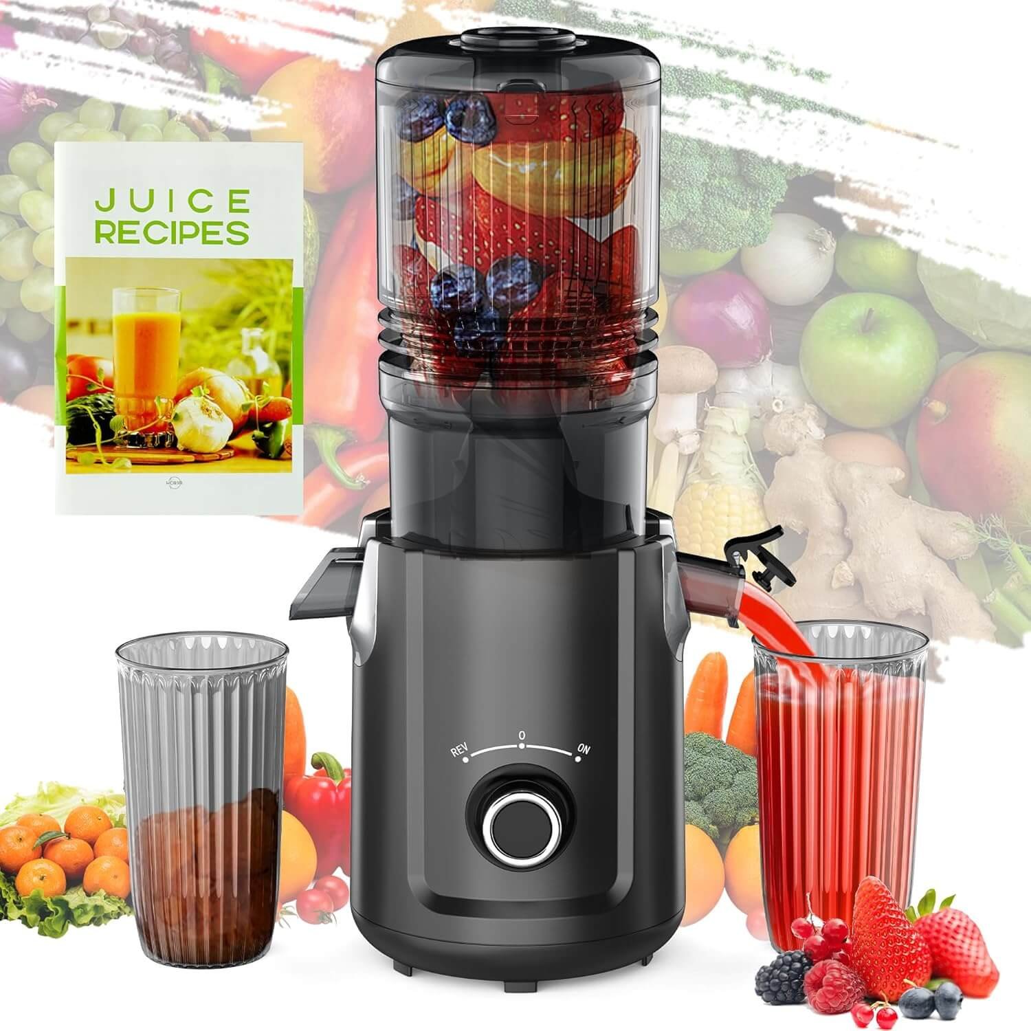 Slow Juicer product photo from Karinear Appliances