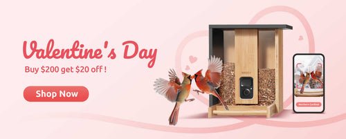 Netvue official store banner