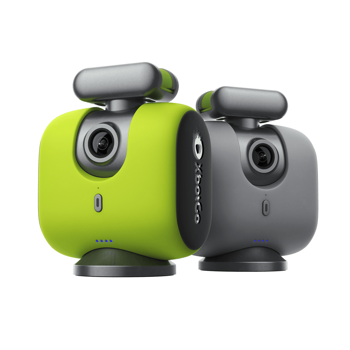 Chameleon product photo from Xbotgo