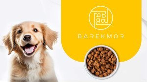 Barekmorpetfoods brand logo